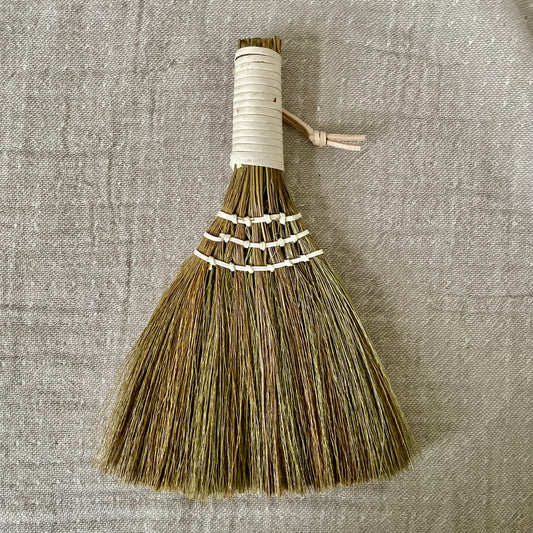 Mini whisk broom